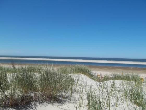 Langeoog Dünen Langeoog: Dünen in Strandnähe