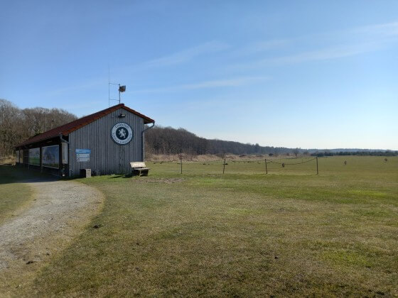 Teil des Lütetsburger Golfplatzes Teil des Lütetsburger Golfplatzes