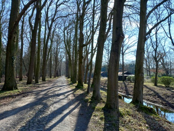 Waldweg Lütetsburger Schloss Waldweg Lütetsburger Schloss