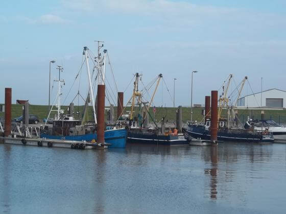 Der Fischereihafen in Norddeich Norddeich Hafen