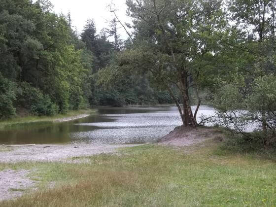 Silbersee Ein Blick auf den Silbersee