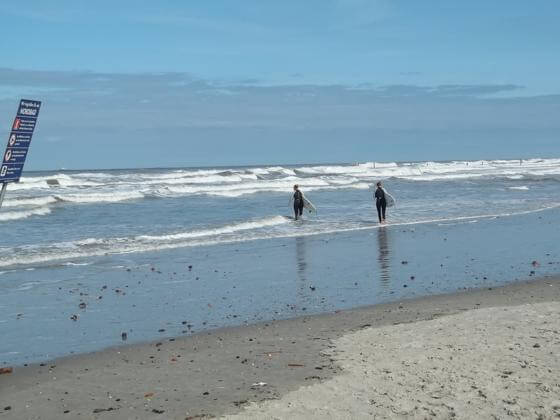 Norderney Surfen Surfen auf Norderney